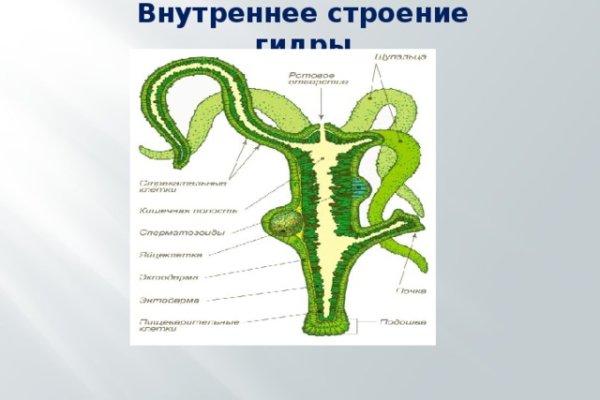 Кракен зеркало на сегодня